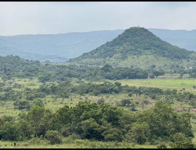 FARM FOR SALE IN ROOSSENEKAL AH